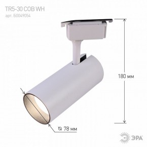 Светильник на штанге Эра  TR5-30 COB WH в Режи - rezh.ok-mebel.com | фото 6