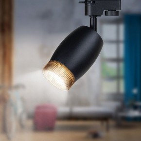Светильник на штанге Эра  TR51 - GU10 BK в Режи - rezh.ok-mebel.com | фото 2