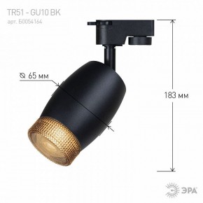 Светильник на штанге Эра  TR51 - GU10 BK в Режи - rezh.ok-mebel.com | фото 4