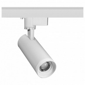 Светильник на штанге Эра  TR59 - 2030 WH в Режи - rezh.ok-mebel.com | фото