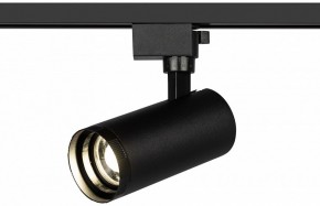 Светильник на штанге Эра  TR59 - 2040 BK в Режи - rezh.ok-mebel.com | фото 5