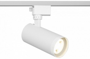 Светильник на штанге Эра  TR59 - 2040 WH в Режи - rezh.ok-mebel.com | фото