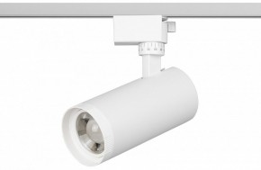 Светильник на штанге Эра  TR59 - 2040 WH в Режи - rezh.ok-mebel.com | фото 2