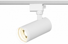Светильник на штанге Эра  TR59 - 2040 WH в Режи - rezh.ok-mebel.com | фото 5
