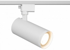 Светильник на штанге Эра  TR59 - 3030 WH в Режи - rezh.ok-mebel.com | фото