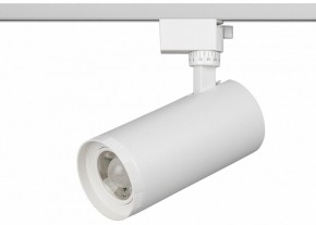 Светильник на штанге Эра  TR59 - 3030 WH в Режи - rezh.ok-mebel.com | фото 2