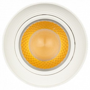 Светильник на штанге Эра  TR59 - 3030 WH в Режи - rezh.ok-mebel.com | фото 3