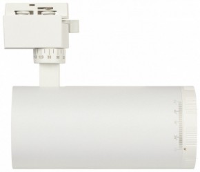 Светильник на штанге Эра  TR59 - 3030 WH в Режи - rezh.ok-mebel.com | фото 4