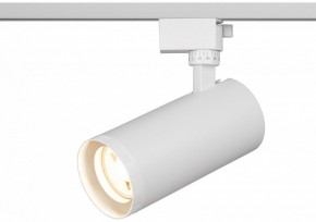 Светильник на штанге Эра  TR59 - 3030 WH в Режи - rezh.ok-mebel.com | фото 5