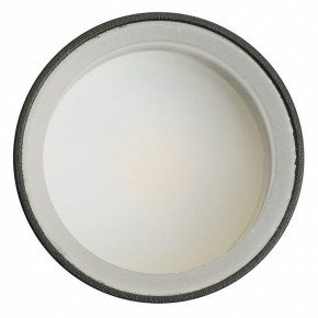 Светильник на штанге Feron ML1001 51371 в Режи - rezh.ok-mebel.com | фото 4