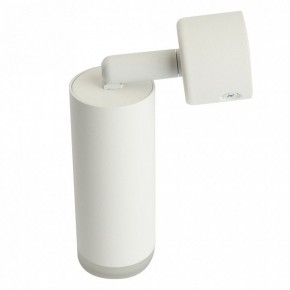Светильник на штанге Feron ML1021 51390 в Режи - rezh.ok-mebel.com | фото 3