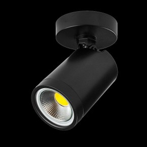 Светильник на штанге Lightstar Rullo 213407 в Режи - rezh.ok-mebel.com | фото 2