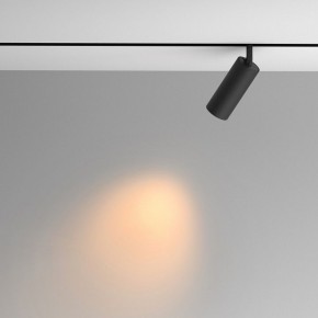 Светильник на штанге Maytoni Artisan TR097-2-12W2.7K-M-BB в Режи - rezh.ok-mebel.com | фото 4