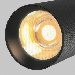 Светильник на штанге Maytoni Artisan TR097-2-12W2.7K-M-BB в Режи - rezh.ok-mebel.com | фото 9