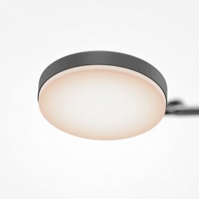 Светильник на штанге Maytoni Fad MOD070CL-L15B3K1 в Режи - rezh.ok-mebel.com | фото 7
