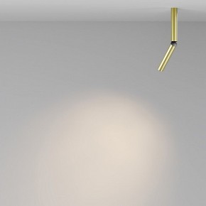 Светильник на штанге Maytoni Focus T C142CL-6W3K-BS в Режи - rezh.ok-mebel.com | фото 4