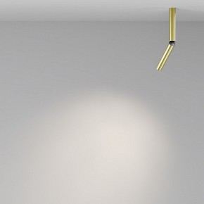 Светильник на штанге Maytoni Focus T C142CL-6W4K-BS в Режи - rezh.ok-mebel.com | фото 4