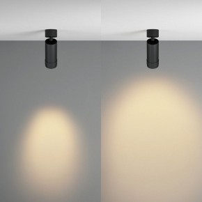 Светильник на штанге Maytoni Focus Zoom C055CL-L12W2.7K-Z-B в Режи - rezh.ok-mebel.com | фото 3