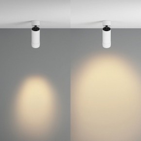 Светильник на штанге Maytoni Focus Zoom C055CL-L12W2.7K-Z-W в Режи - rezh.ok-mebel.com | фото 3