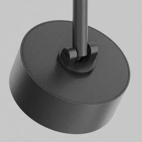 Светильник на штанге Maytoni Lens TR217-2-15W3K-B в Режи - rezh.ok-mebel.com | фото 11