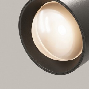 Светильник на штанге Maytoni Lens TR217-2-15W3K-B в Режи - rezh.ok-mebel.com | фото 12