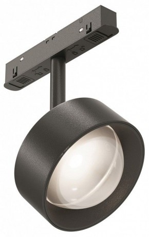 Светильник на штанге Maytoni Lens TR217-2-15W4K-B в Режи - rezh.ok-mebel.com | фото