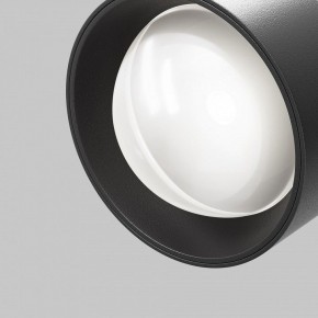 Светильник на штанге Maytoni Lens TR217-2-15W4K-B в Режи - rezh.ok-mebel.com | фото 10