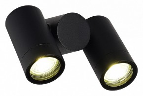 Светильник на штанге ST-Luce Ecollo SL9011.402.02 в Режи - rezh.ok-mebel.com | фото 3
