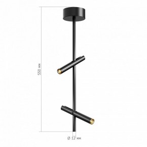 Светильник на штанге ST-Luce LILT SL6210.403.02 в Режи - rezh.ok-mebel.com | фото 3