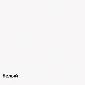 Торонто Шкаф для одежды 13.333 в Режи - rezh.ok-mebel.com | фото 3