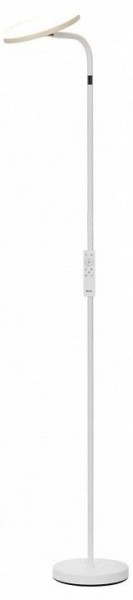 Торшер Citilux SOLO CL804060 в Режи - rezh.ok-mebel.com | фото