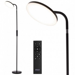 Торшер Citilux SOLO CL804061 в Режи - rezh.ok-mebel.com | фото 2
