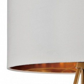 Торшер Lumion Tapioka 8077/1F в Режи - rezh.ok-mebel.com | фото 6