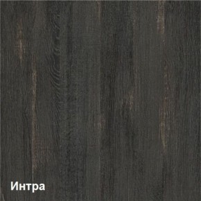 Трувор Шкаф для одежды 13.328.02 в Режи - rezh.ok-mebel.com | фото 3
