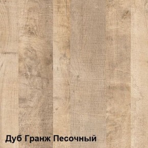 Трувор Шкаф для одежды 13.328.02 в Режи - rezh.ok-mebel.com | фото 4