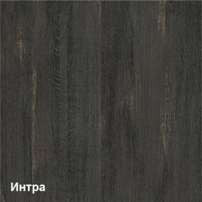 Трувор Шкаф-стеллаж 13.206 в Режи - rezh.ok-mebel.com | фото 4