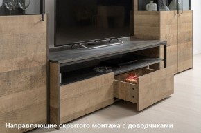 Трувор Тумба под ТВ 13.70 в Режи - rezh.ok-mebel.com | фото 3