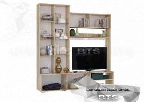 ФЛАЙ Центральная секция ЦС-01 (дуб сонома/белый) в Режи - rezh.ok-mebel.com | фото 4