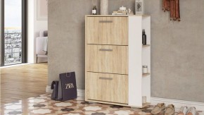 Тумба для обуви Эдеа-1 в Режи - rezh.ok-mebel.com | фото 3