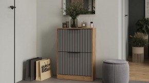 Тумба для обуви Хилтон в Режи - rezh.ok-mebel.com | фото 3