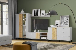 Тумба НМ 014.34 "Бруно" в Режи - rezh.ok-mebel.com | фото 3