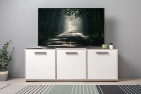 Тумба под ТВ 13.283.02 Винтаж в Режи - rezh.ok-mebel.com | фото 3