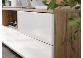 Тумба под ТВ Маллоу в Режи - rezh.ok-mebel.com | фото 4