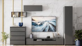 Тумба под ТВ Сибити в Режи - rezh.ok-mebel.com | фото 3