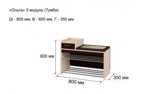 ОЛЬГА 5 Тумба в Режи - rezh.ok-mebel.com | фото 3