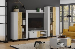 Тумба ТВА НМ 014.45 "Бруно" в Режи - rezh.ok-mebel.com | фото 3