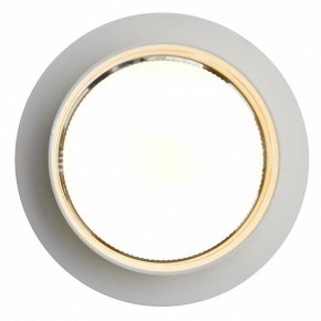 Встраиваемый светильник Feron DL502 51089 в Режи - rezh.ok-mebel.com | фото 5