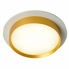 Встраиваемый светильник Feron DL507 51354 в Режи - rezh.ok-mebel.com | фото 3