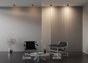 Встраиваемый светильник Maytoni Onda DL024-12W-DTW-BMG в Режи - rezh.ok-mebel.com | фото 9