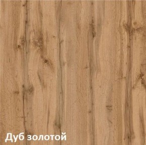 Вуди Шкаф для одежды 13.138 в Режи - rezh.ok-mebel.com | фото 4